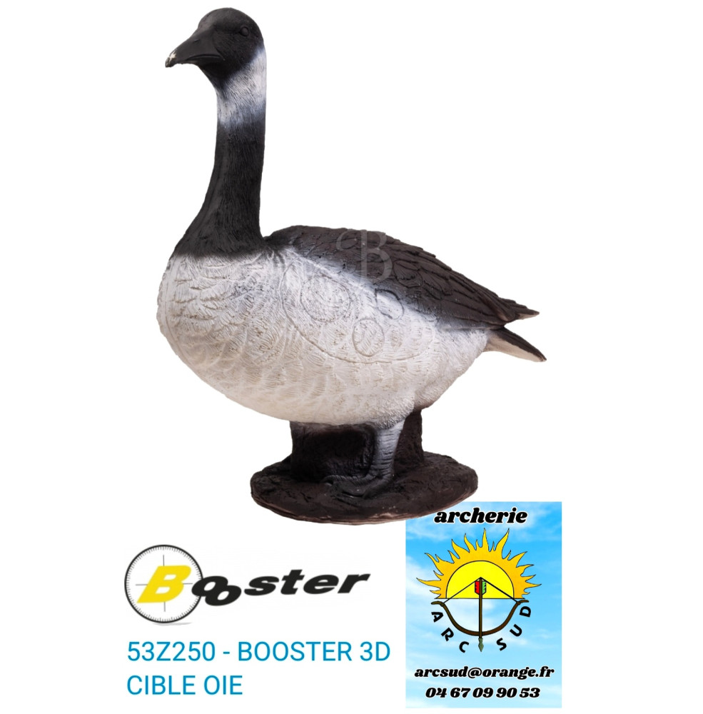 booster cible 3d oie ref 53z250