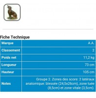 AA cible 3d Loup 539105