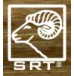 Srt 