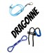 dragonne