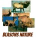 blasons nature