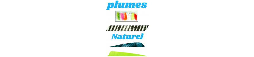 plumes naturel