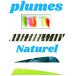 plumes naturel